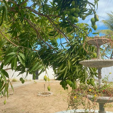 Sol, Mar e Privacidade Villa Aracajú Exterior foto