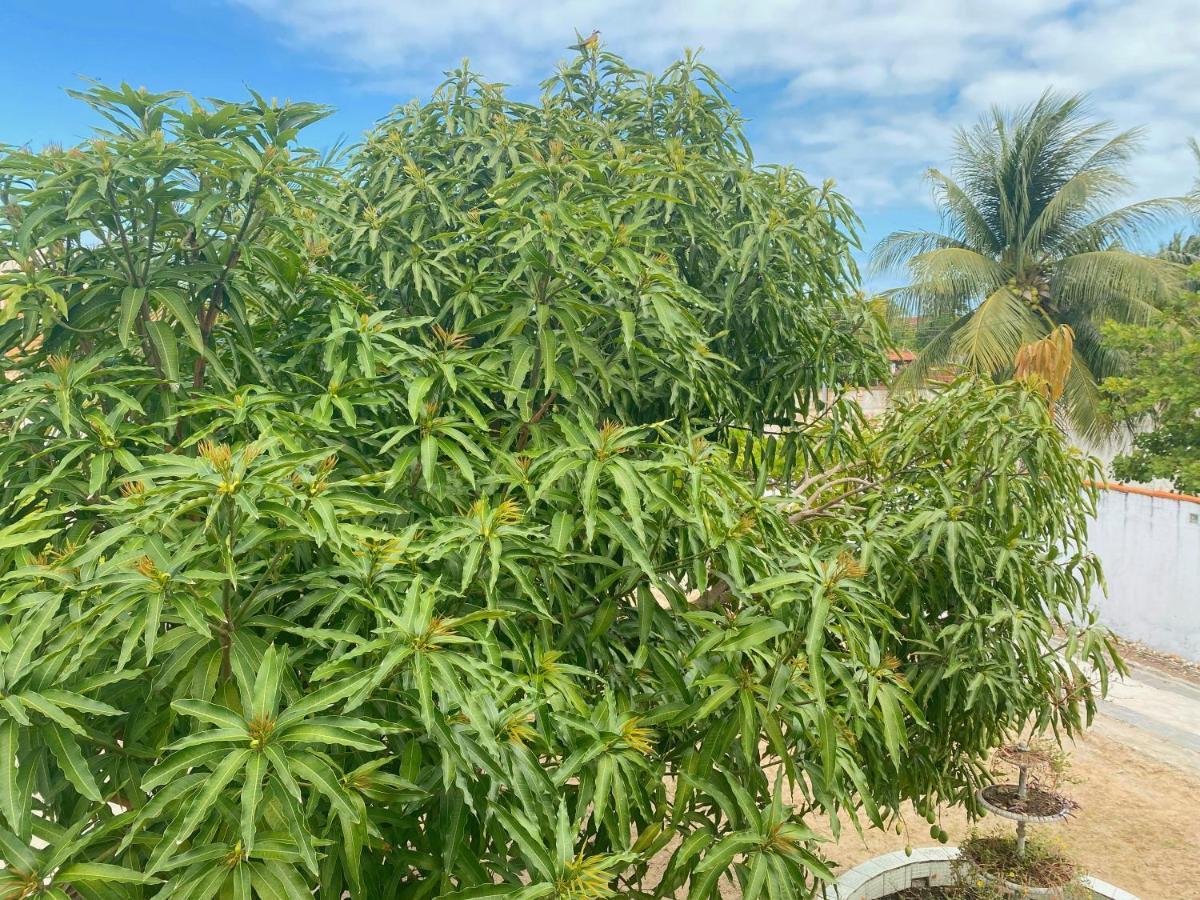 Sol, Mar e Privacidade Villa Aracajú Exterior foto
